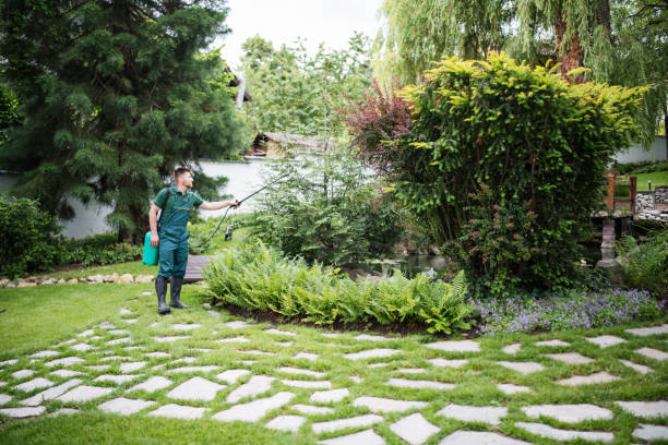 Best Pest Control Cost  in Bella Vista, CA