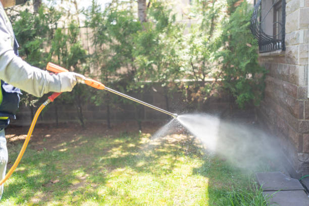 Best Bird Control  in Bella Vista, CA