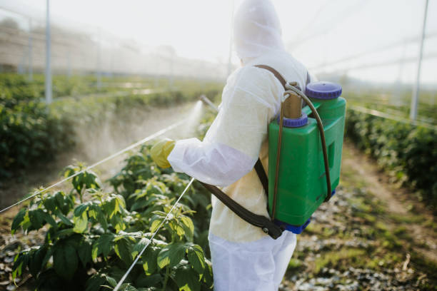 Best Ant Control Services  in Bella Vista, CA